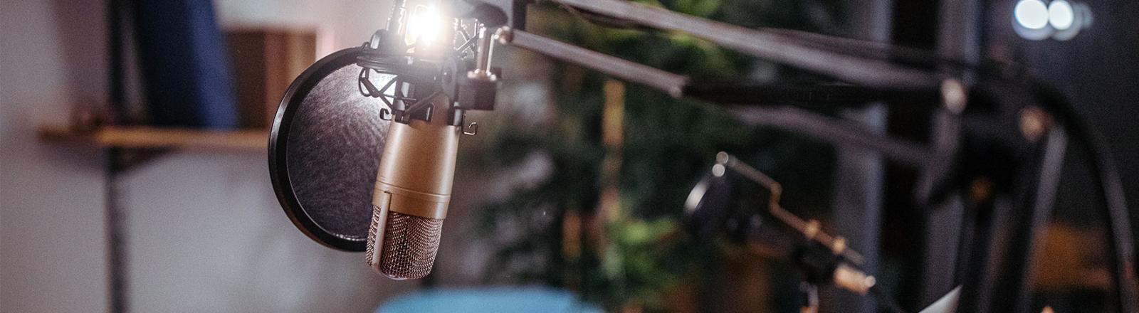 Podcasting for Pros: 6 Topic Ideas for Your B2B Business